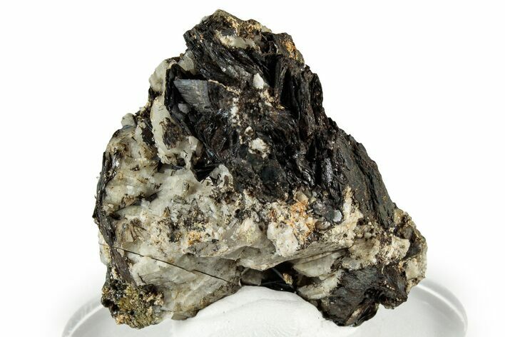 Dark Brown Niobophyllite on Feldspar and Smoky Quartz - Malawi #330863